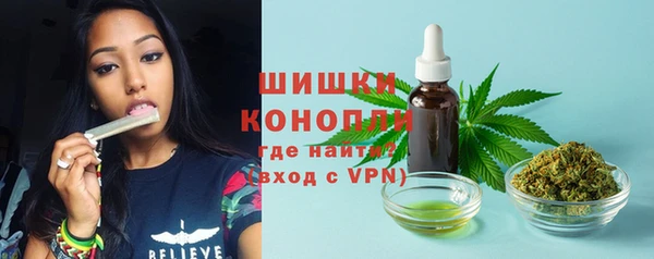 бошки Володарск
