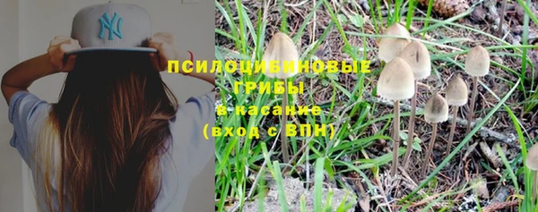 PSILOCYBIN Волосово