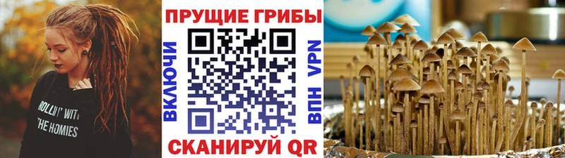 сколько стоит  Отрадное  hydra ТОР  Псилоцибиновые грибы мухоморы 